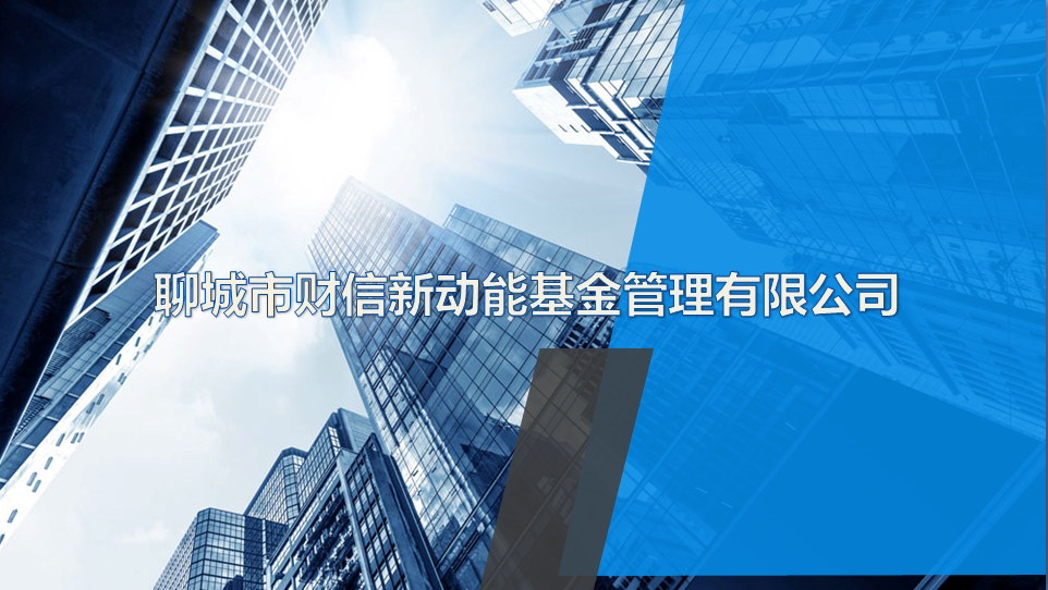 聊城市財(cái)信新動能基金管理有限公司